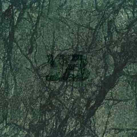 NPJ Green